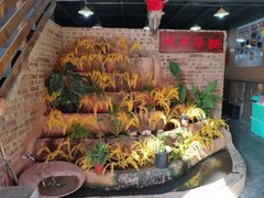 -哈尼梯田美食土菜馆