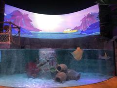 -沈阳海洋探索中心