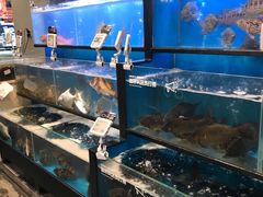 水产区-盒马鲜生(宝地店)