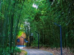 -苏州河梦清园环保主题公园