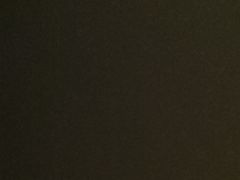 -圣宠宠物(平吉花卉市场店)