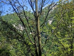 -秦岭终南山世界地质公园翠华山景区