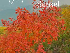 -香山公园