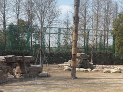 -上海野生动物园老虎餐厅