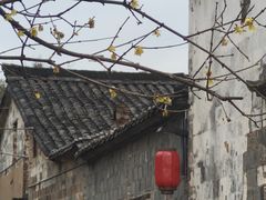 -清漾毛氏文化村