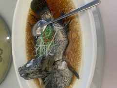 -骏莱海鲜鱼港(五角场店)