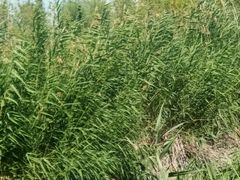 -水上乐园·欢乐世界