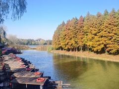 -溱湖国家湿地公园