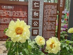 -仁和公园(顺义区)
