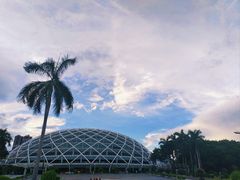 -文华公园(禅城区)