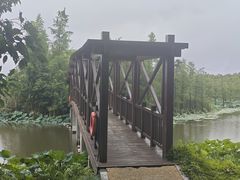 -同里国家湿地公园