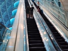 -凤凰中心