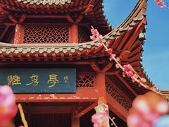 -梅花山(明孝陵内)