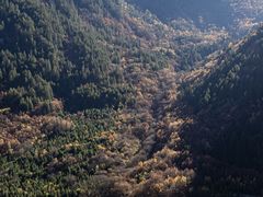 -九寨沟-树正沟