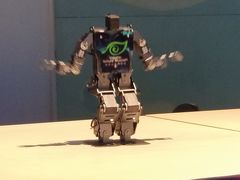 -陕西自然博物馆