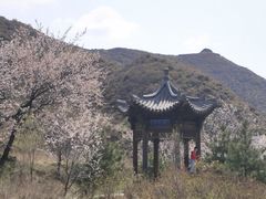 -雁门关景区