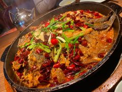 -老板恋上鱼(印象城店)