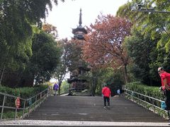 -上海佘山国家森林公园西佘山园