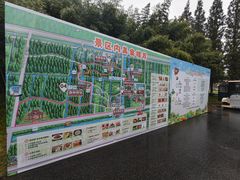 -黄海国家森林公园