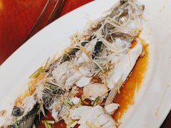 -中苑海韵