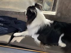 -HALO SOUL COFFEE·咖啡·甜品·简餐(嘉年华海信广场店)