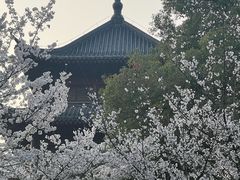 -堤角公园