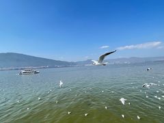-海埂大坝