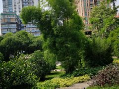 -晓港公园