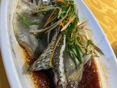 清蒸鲈鱼-高记广州大排档(关平路店)