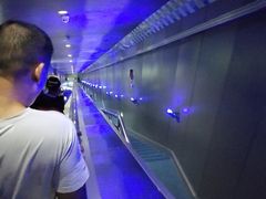 -白鹤梁水下博物馆