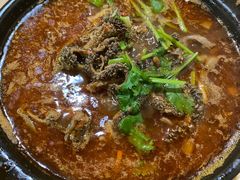 砂锅羊肚-砂锅店