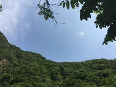 -黑河国家森林公园