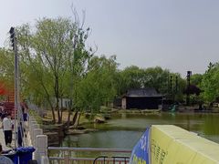 -曹州牡丹园
