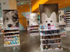 -KKV(深圳宏发大仟里店)