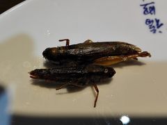 滇西九味马帮菜-福照楼汽锅鸡·云南菜(护国路店)