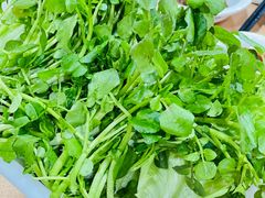 西洋菜-众源美食(光复阁店)