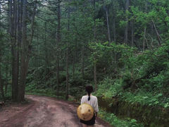 -龙峪湾国家森林公园