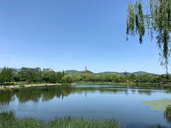 -北坞公园