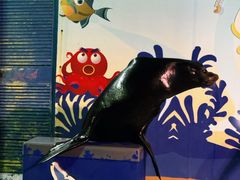 -太平洋海底世界