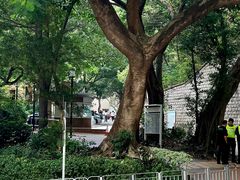 -香港大学