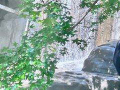 -狼牙山风景区