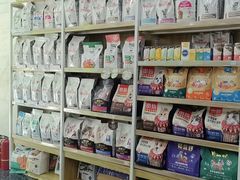 -瑞鹏宠物医院华南总院·夜诊·心脏科·骨科