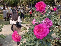 -人民公园(罗湖区)