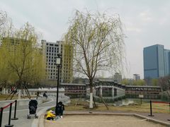 -西海子公园