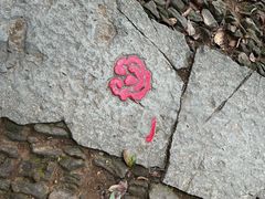 -西湖风景区十里琅珰-五云山