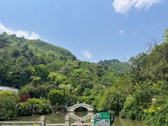 -黔灵山公园