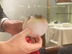 小可爱-肆月河豚·新淮扬(金融街店)