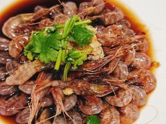 生腌红毛虾-渔人码头(中南店)