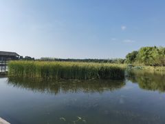 -溱湖国家湿地公园