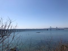 -星海湾跨海大桥